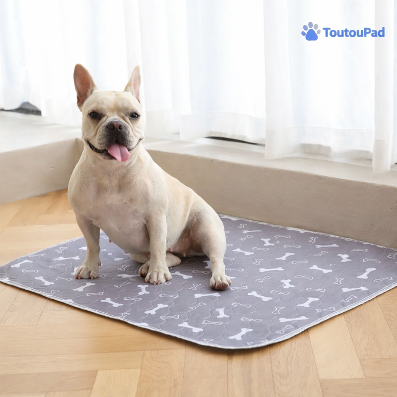 Le ToutouPad™ - L'Alèse Éducative Réutilisable