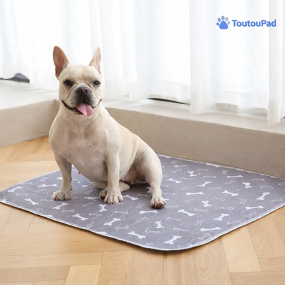 Le ToutouPad™ - L'Alèse Éducative Réutilisable