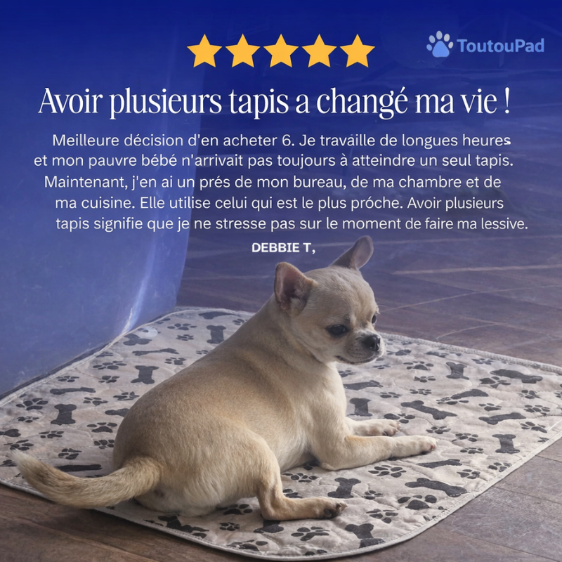 Le ToutouPad™ - L'Alèse Éducative Réutilisable