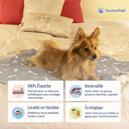 Le ToutouPad™ - L'Alèse Éducative Réutilisable