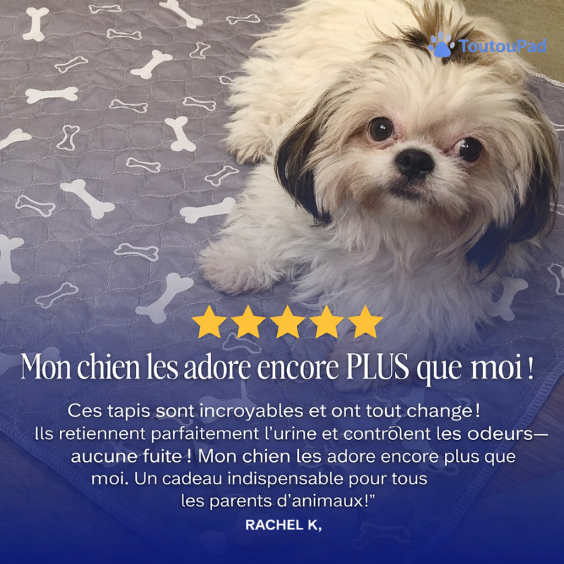 Le ToutouPad™ - L'Alèse Éducative Réutilisable